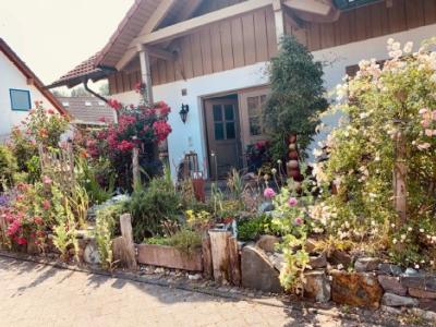Begrünter Vorgarten